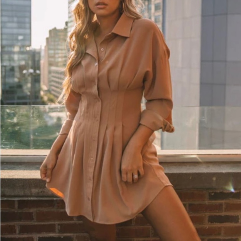 Vici Sarabeth Pintuck Button Down Shirt Dress